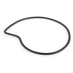 Wasserpumpendichtung PIAGGIO 485080