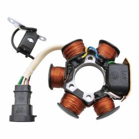 Vollständiger PIAGGIO-Stator