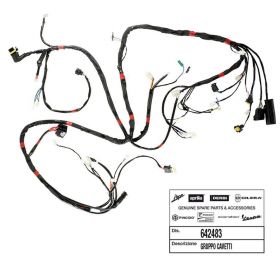 PIAGGIO 642483 Motorcycle electrical system