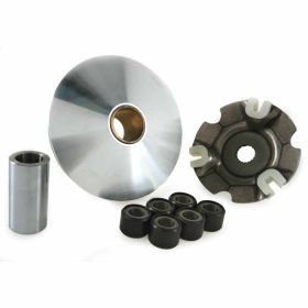 PIAGGIO Variator 12g 19x13,7 mm für alte Motoren