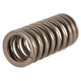 Ressorts de soupape PIAGGIO 828480