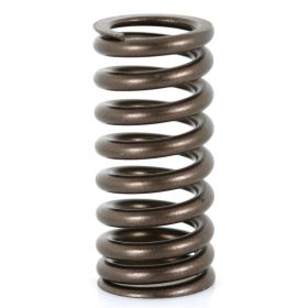 Ressorts de soupape PIAGGIO 828480