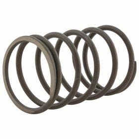 Molla PIAGGIO Valvola Non Ritorno 130x78 mm