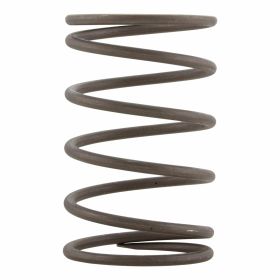 Molla PIAGGIO Valvola Non Ritorno 130x78 mm