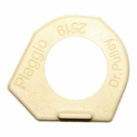 Rulli variatore PIAGGIO D.25x19- 19 gr