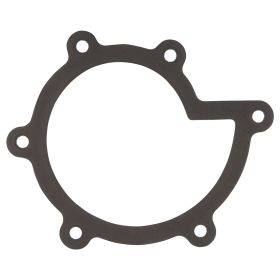 Wasserpumpendichtung PIAGGIO 879210