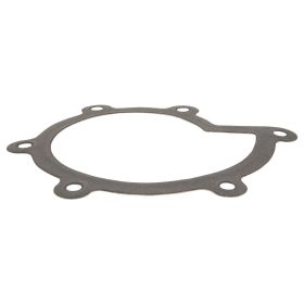Wasserpumpendichtung PIAGGIO 879210