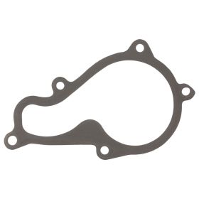 Wasserpumpendichtung PIAGGIO 880727