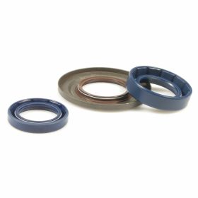 PIAGGIO Öldichtung Motor Blau/Braun Metall Reparatursatz