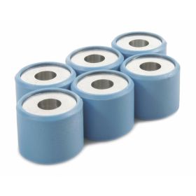 Rulli variatore PIAGGIO 19x17 mm 10,0 g AP8540093 - CM1038015