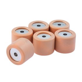 Rulli variatore PIAGGIO 19x15,5 mm 6 pezzi