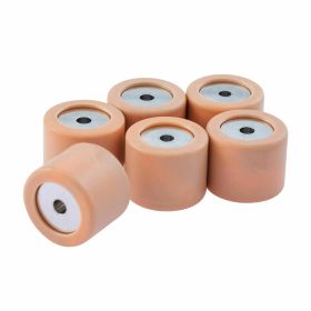 Rulli variatore PIAGGIO 19x15,5 mm 6 pezzi