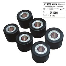 6 Rollen Kit PIAGGIO D.19x15.5 - 6.4 gr