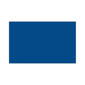 peinture spéciale Pilot pour étriers de frein 150ml Bleu