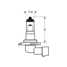 Halogenlampenpilot Blue-Xe H12 53W 12V PZ20d 2 Stück