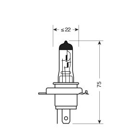 Xenon Pilot Halogen Lamp H4 60/55W 12V P43t 2pcs