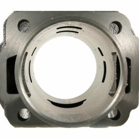 PINASCO Cylinder 102 cc in nodular cast iron 5 ports stroke 43mm