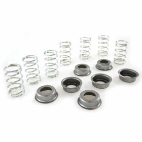 Ressorts d'embrayage Sport PINASCO L7 avec contrôleur de torsion