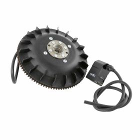 PINASCO Flytech Ignition 1800g with coil stator and black fan included