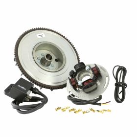 PINASCO Flytech Ignition 1800g with coil stator and black fan included