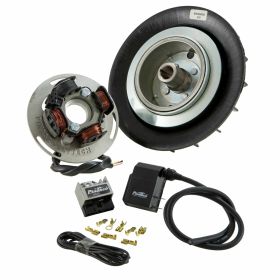 Accensione PINASCO Flytech 1600g statore bobina ventola nera interruttore stop