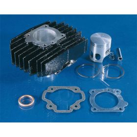 POLINI Racing Cylinder 70 cc in Nodular Iron 46mm