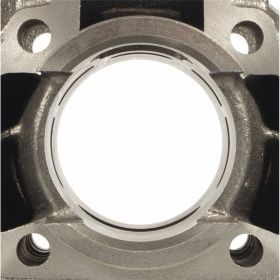 Cilindro POLINI 50 cc in ghisa nodulare 40mm 2 anelli testa inclusa