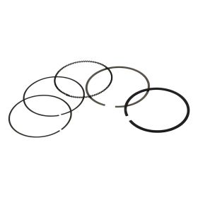 Bandes élastiques POLINI 278 cc 75 mm Ensemble de 2 pièces pour moteurs