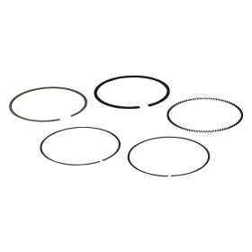 Bandes élastiques POLINI 278 cc 75 mm Ensemble de 2 pièces pour moteurs