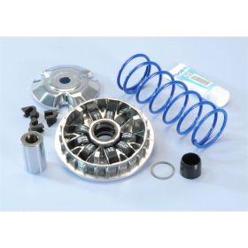 Variatore POLINI Maxi Hi-Speed 9 rulli 20x12 mm 9,2 g