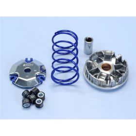 POLINI Hi-Speed Variator für Roller 6 Rollen 16x13 mm beschleunigt besser