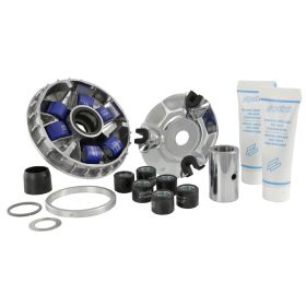 Variatore POLINI Maxi Hi-Speed 19x17 mm 9,0/13,5 g