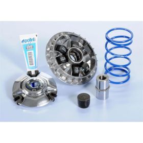 Variateur POLINI Maxi Hi-Speed 6 rouleaux 20x17 mm 10 g