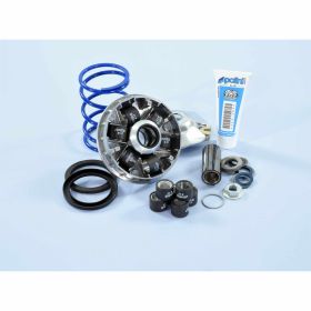 Variatore POLINI Hi-Speed Evolution II con 6 rulli 19x15,5 mm per albero 16 mm