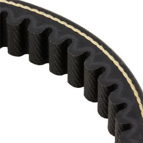 Sangle POLINI Evolution 748x20x10,5 mm en polyamide durable