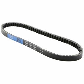 Ceinture POLINI Evolution 810x195x95 mm 28 mm