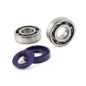 Kit roulements vilebrequin POLINI P282.0002