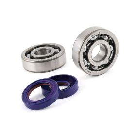 KIT ROULEMENTS VILEBREQUIN POLINI P282.0003