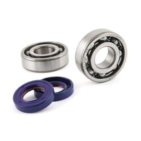 KIT ROULEMENTS VILEBREQUIN POLINI P282.0004