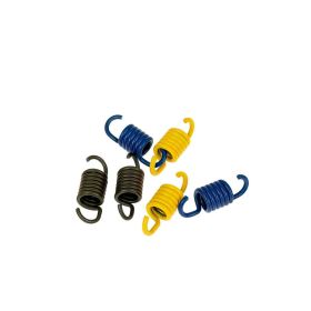 RESSORTS D EMBRAYAGE POLINI U245.010