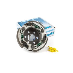P249049 POLINI FRIZIONE 3G D.107MM LX 50
