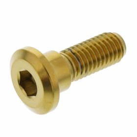 PRO-BOLT Bremsscheibenbolzen Edelstahl M8X1.25x24mm Gold