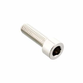 PRO-BOLT M6x1.00 20mm Crown Fixing Screw