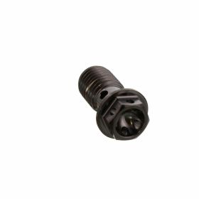 PRO-BOLT single banjo bolt M10x1.25 black racing titanium