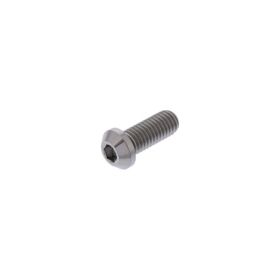 JMP Titanium Brake Disc Bolt M8x1.25x20mm