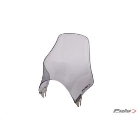 Pare-brise PUIG Light Smoke Naked pour Honda F Hornet CB