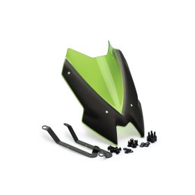 PUIG Naked Sport Green ABE genehmigte Verkleidung für Kawasaki Z650