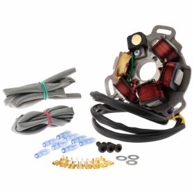 PIÈCES DE REPRODUCTION DE STATOR 12V 96W 5 ENROULEMENTS INCLUS
