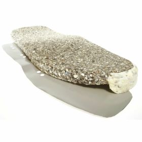 Coussin de siège moto REPRO TEILE 79006500