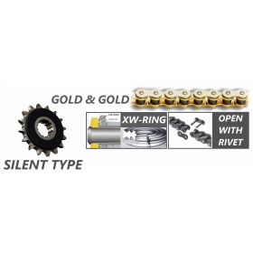 KIT TRASMISSIONE SILENT RK 530ZXW GOR